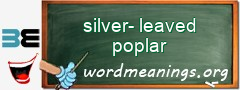 WordMeaning blackboard for silver-leaved poplar